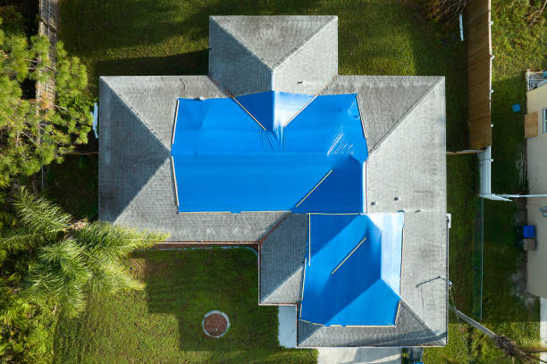 Best Steel Roofing  in Plumsteadville, PA